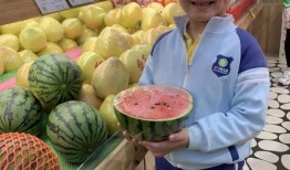 2024大瓜事件,揭秘娱乐圈风云变幻